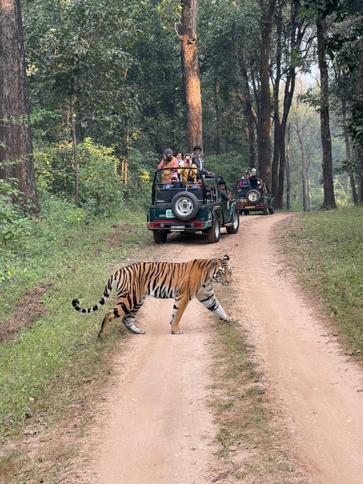 Meghalaya-Kaziranga : Backpacking Trip Gallery Image 5