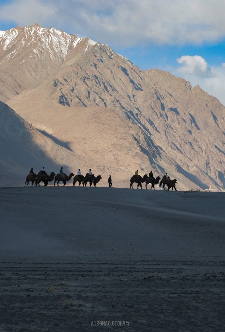 Ladakh: High Passes & Blue Waters Expedition Gallery Image 4